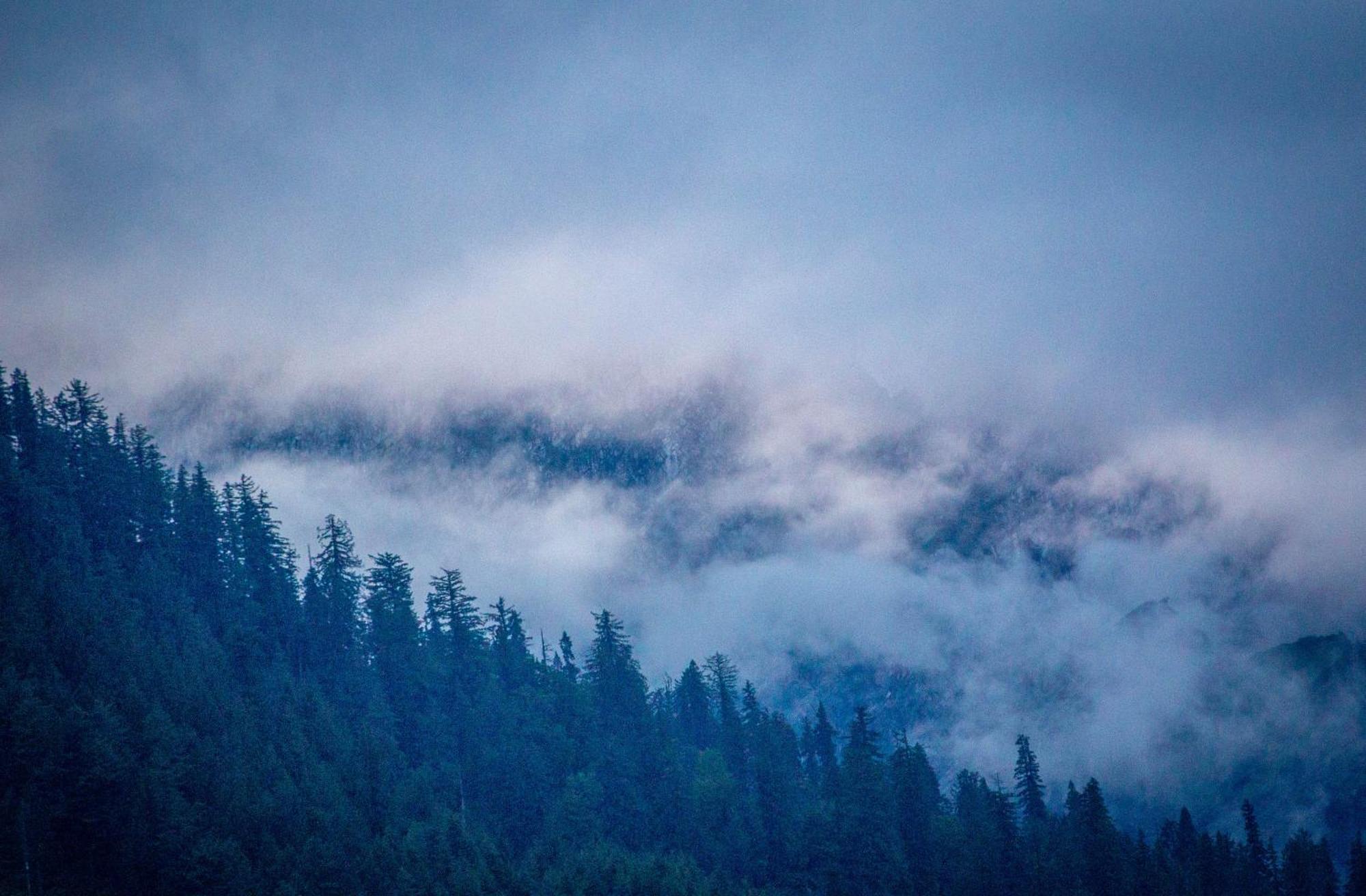 The Homstel Manali Hostel Luaran gambar