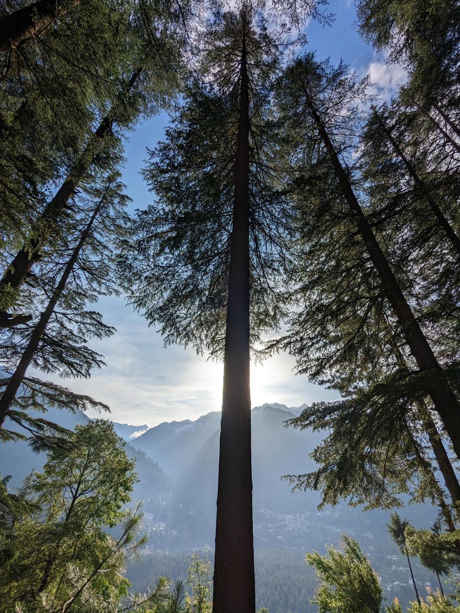 The Homstel Manali Hostel Luaran gambar